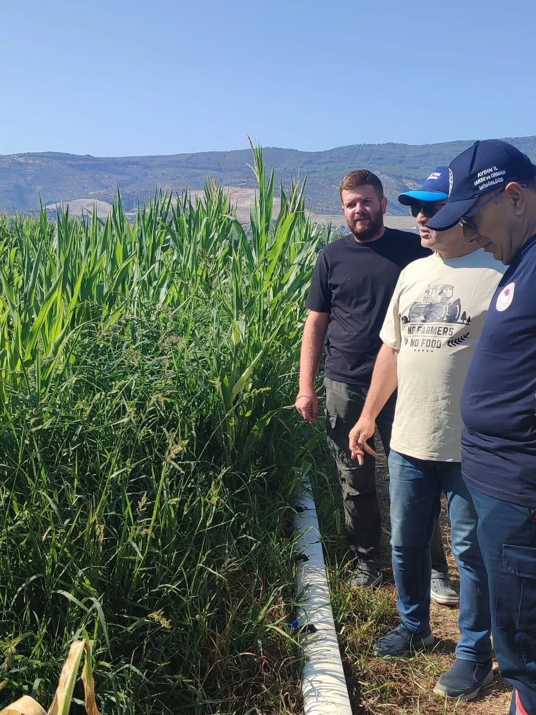 İl Tarım, damlama sulamanın &ouml;nemine dikkat &ccedil;ekti
