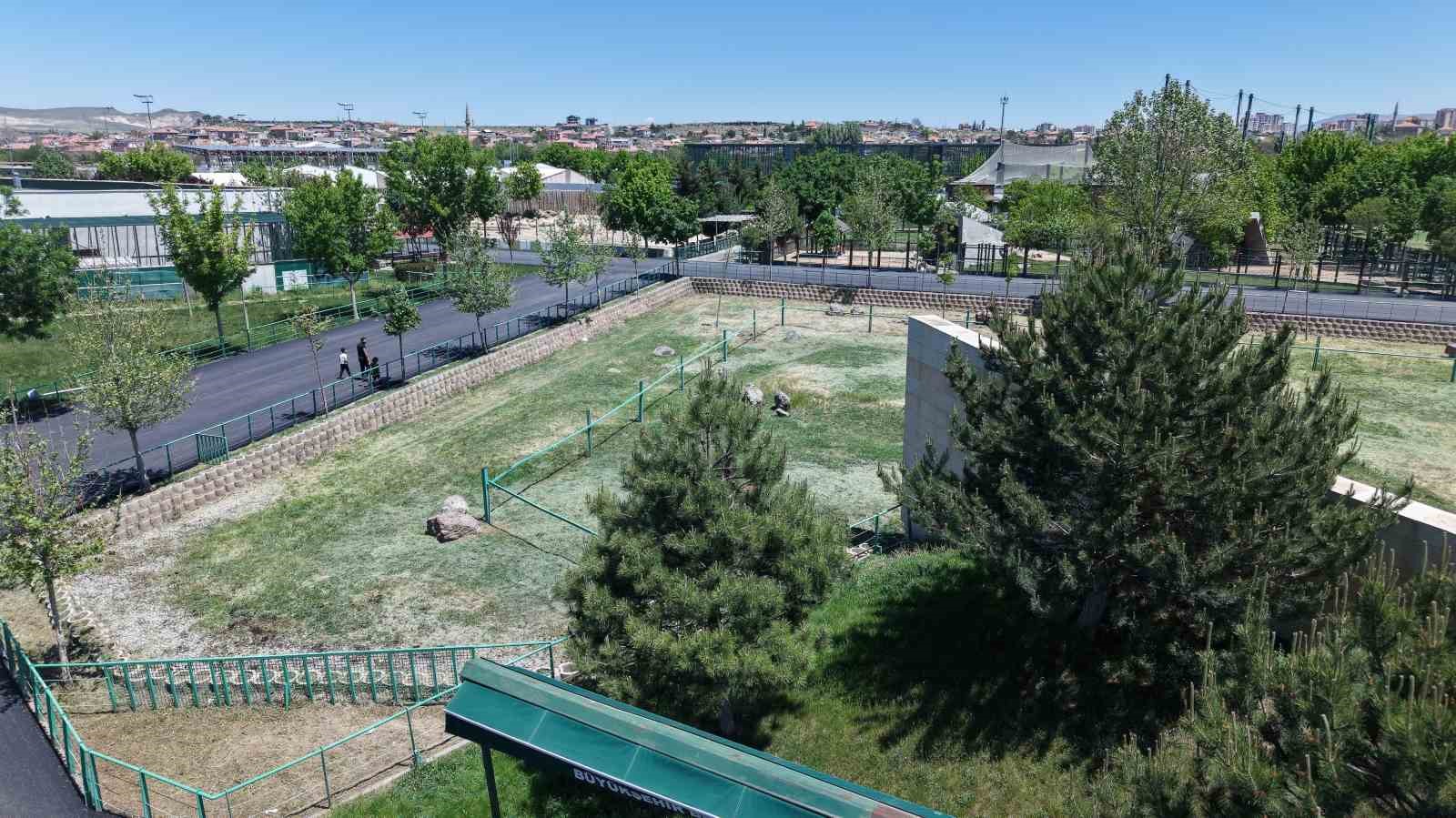 Hayvanat bah&ccedil;esinde y&uuml;r&uuml;y&uuml;ş yolları yenilendi
