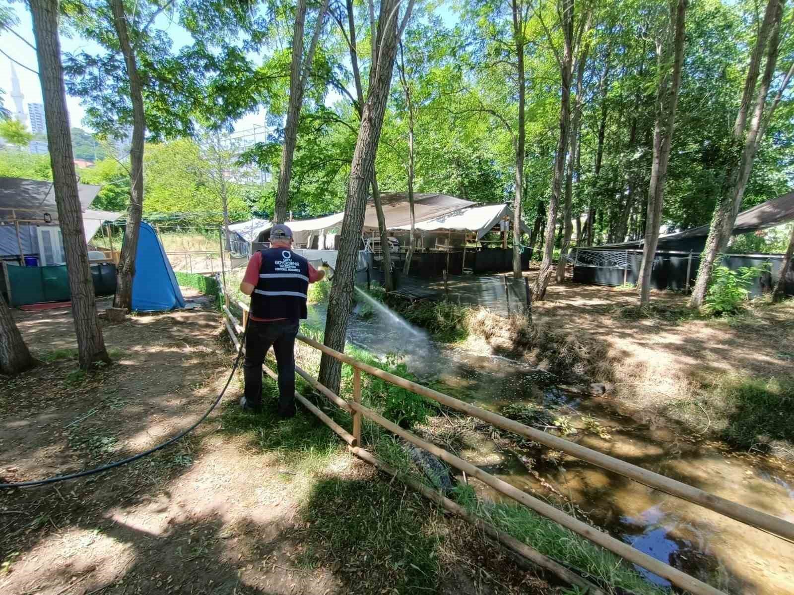 Ordu’da vektörel mücadele sürüyor