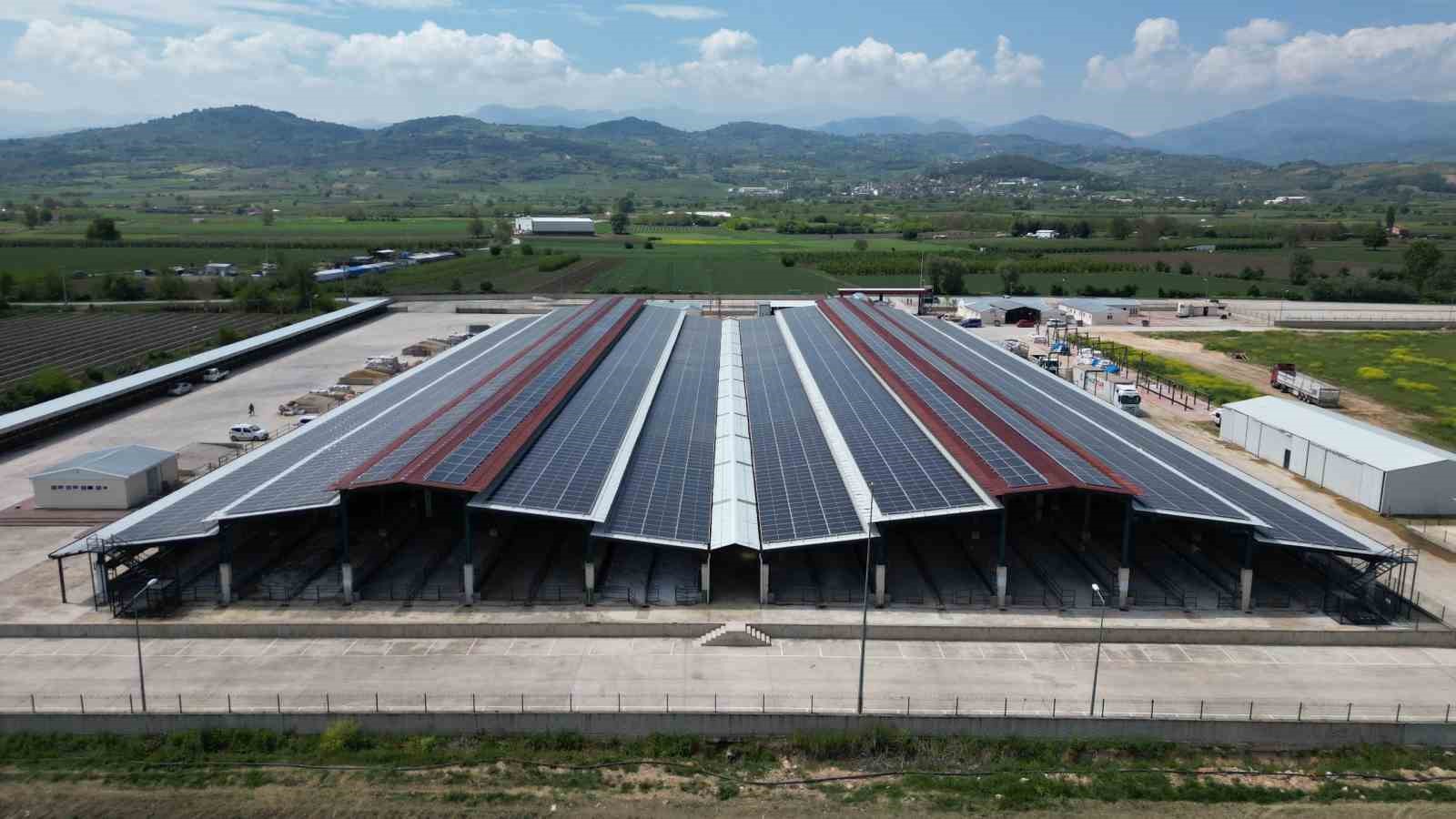 Güneşten ayda 1,2 milyonluk kazanım