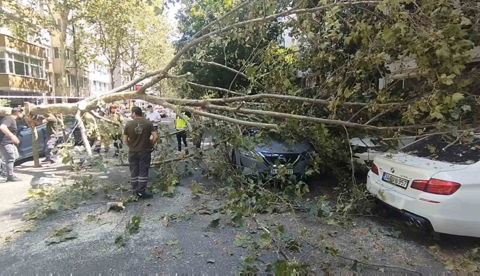 Şişli&rsquo;de park halindeki ara&ccedil;ların &uuml;zerine ağa&ccedil; devrildi

