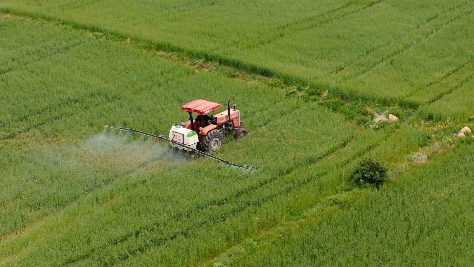&Uuml;lker ve Sabancı &Uuml;niversitesi buğday i&ccedil;in ele ele verdi
