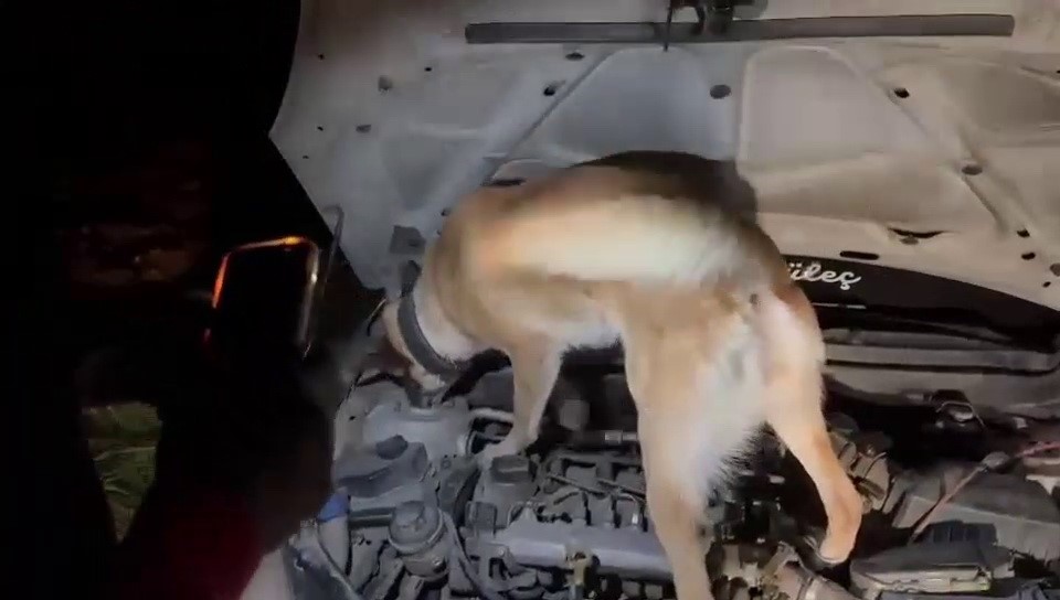 Adıyaman’da 38 günde 201 şüpheliye uyuşturucudan işlem yapıldı