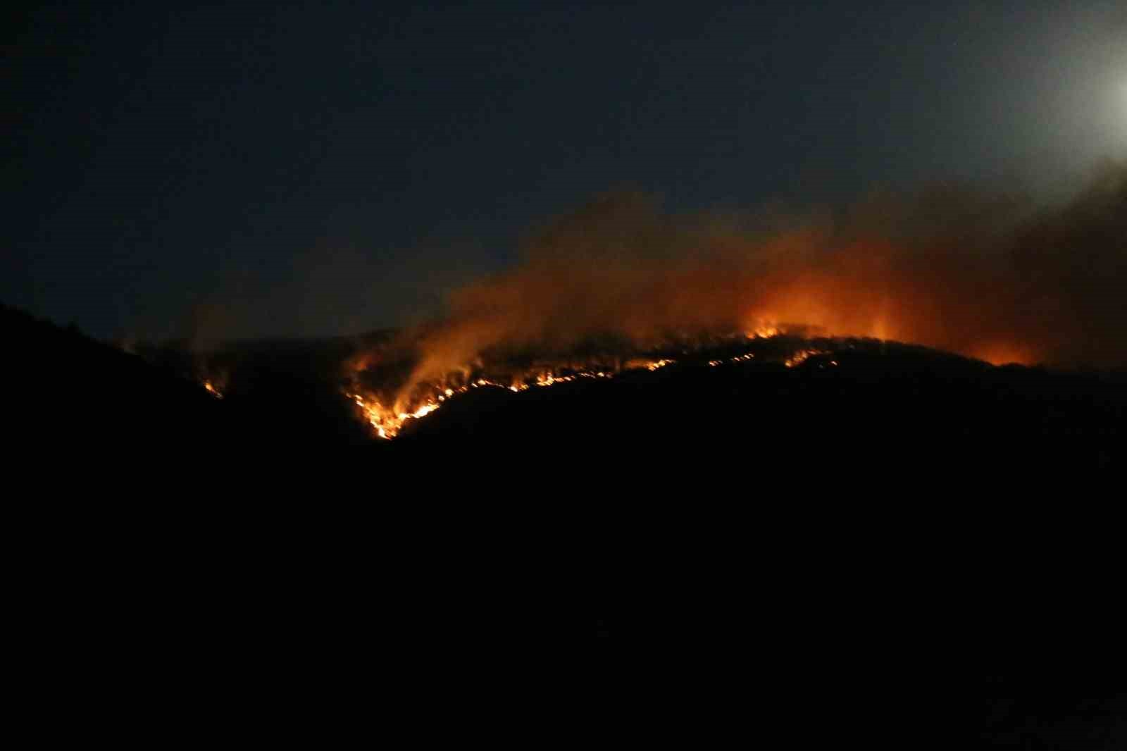 Çankırı’daki orman yangınına ekiplerin müdahalesi sürüyor
