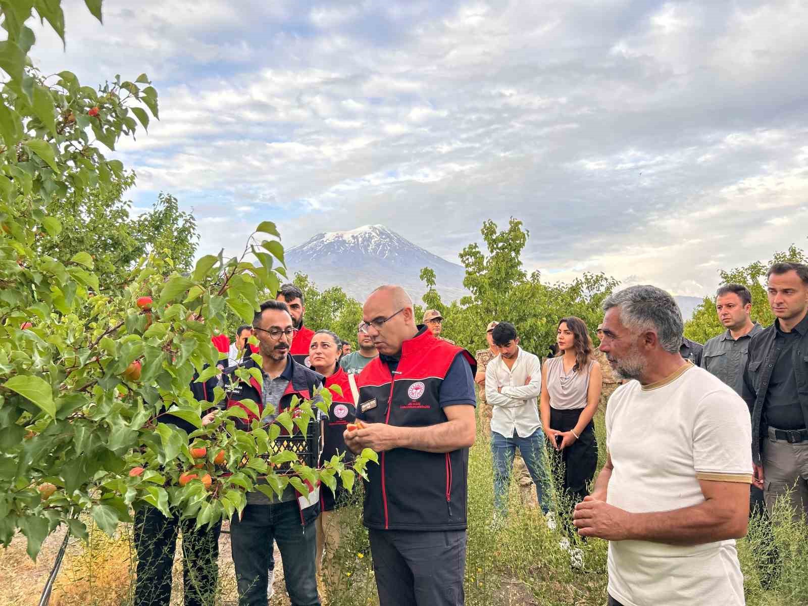 Ağrı Valisi Koç, Doğubayazıt’ta bir dizi incelemelerde bulundu