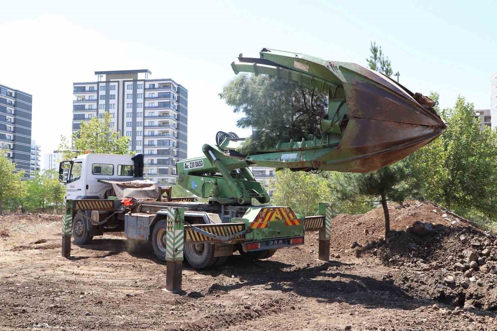 Ağaçlar zarar verilmeden ormanlık alana taşındı