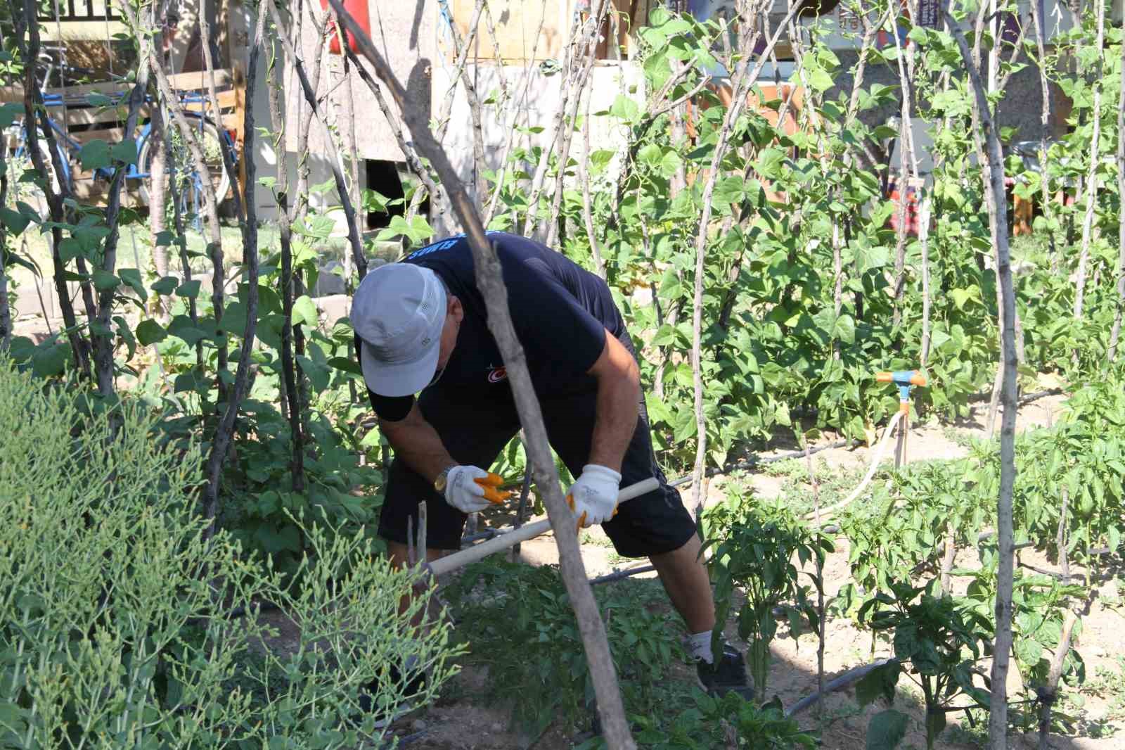 Şehir hayatından sıkıldı, mutluluğu köy hayatında buldu