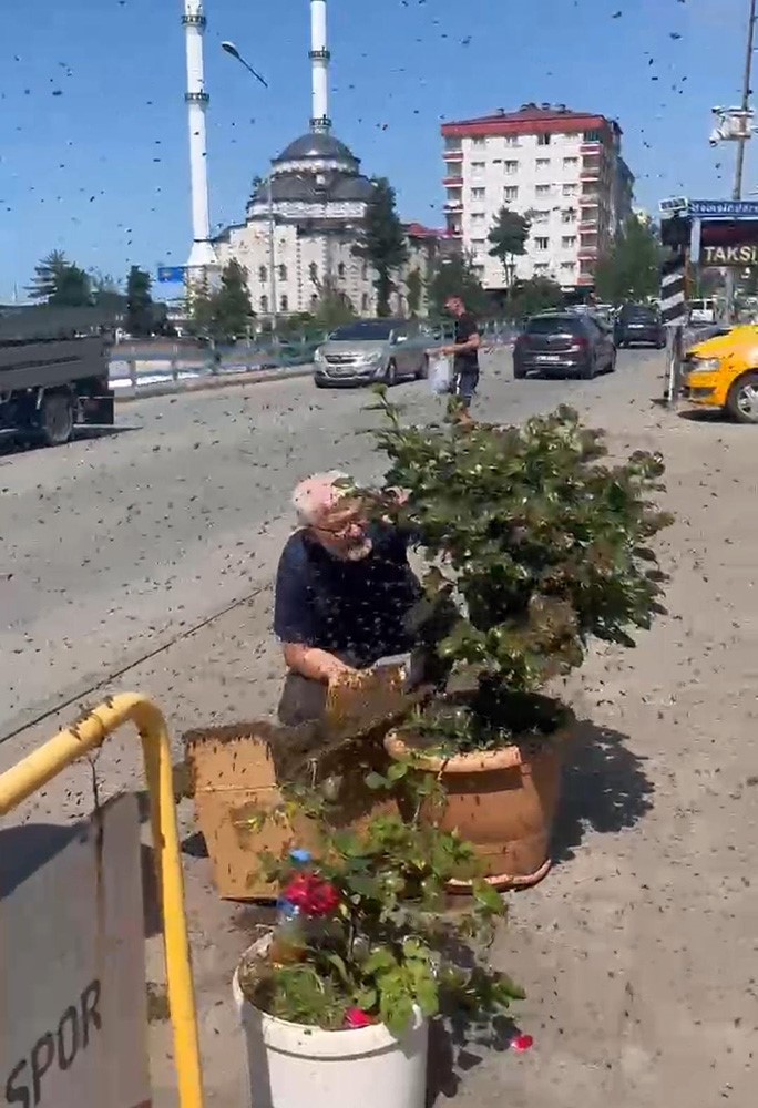 Rize&rsquo;de arıların &ccedil;i&ccedil;ek seferi
