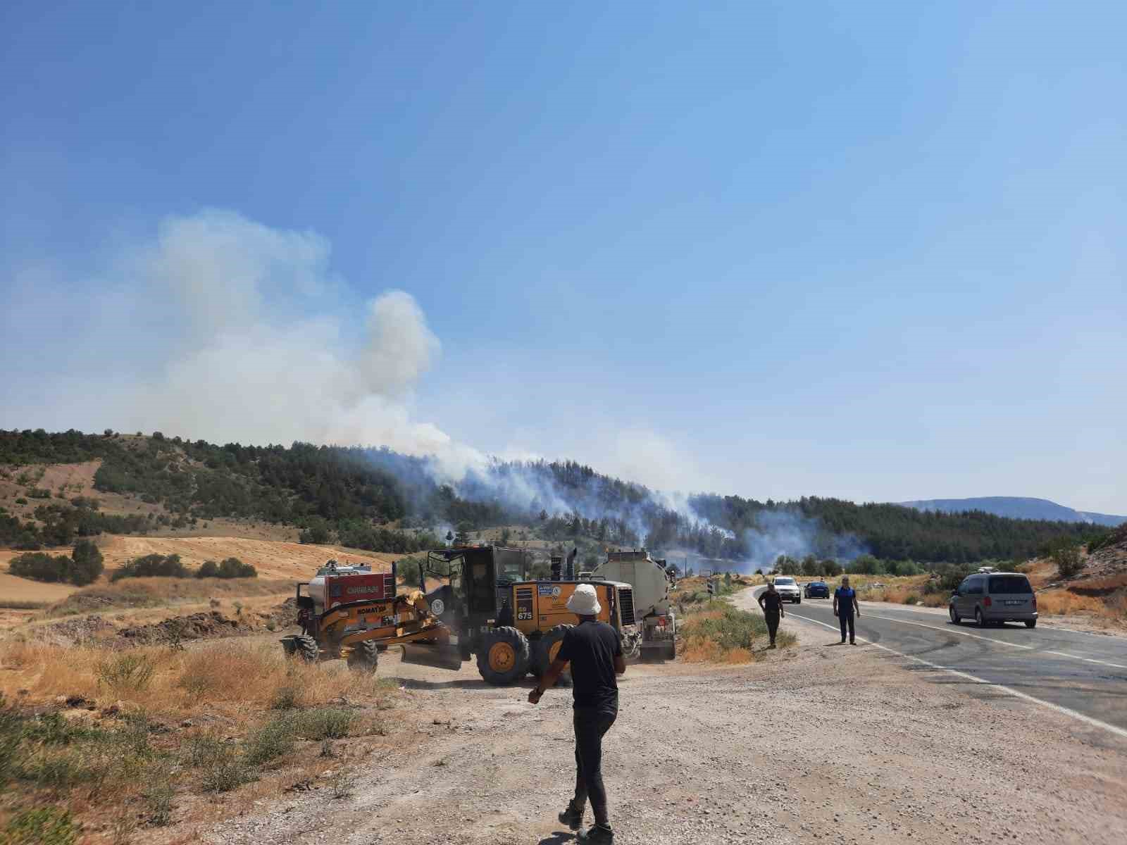Bilecik’te yeni orman yangını