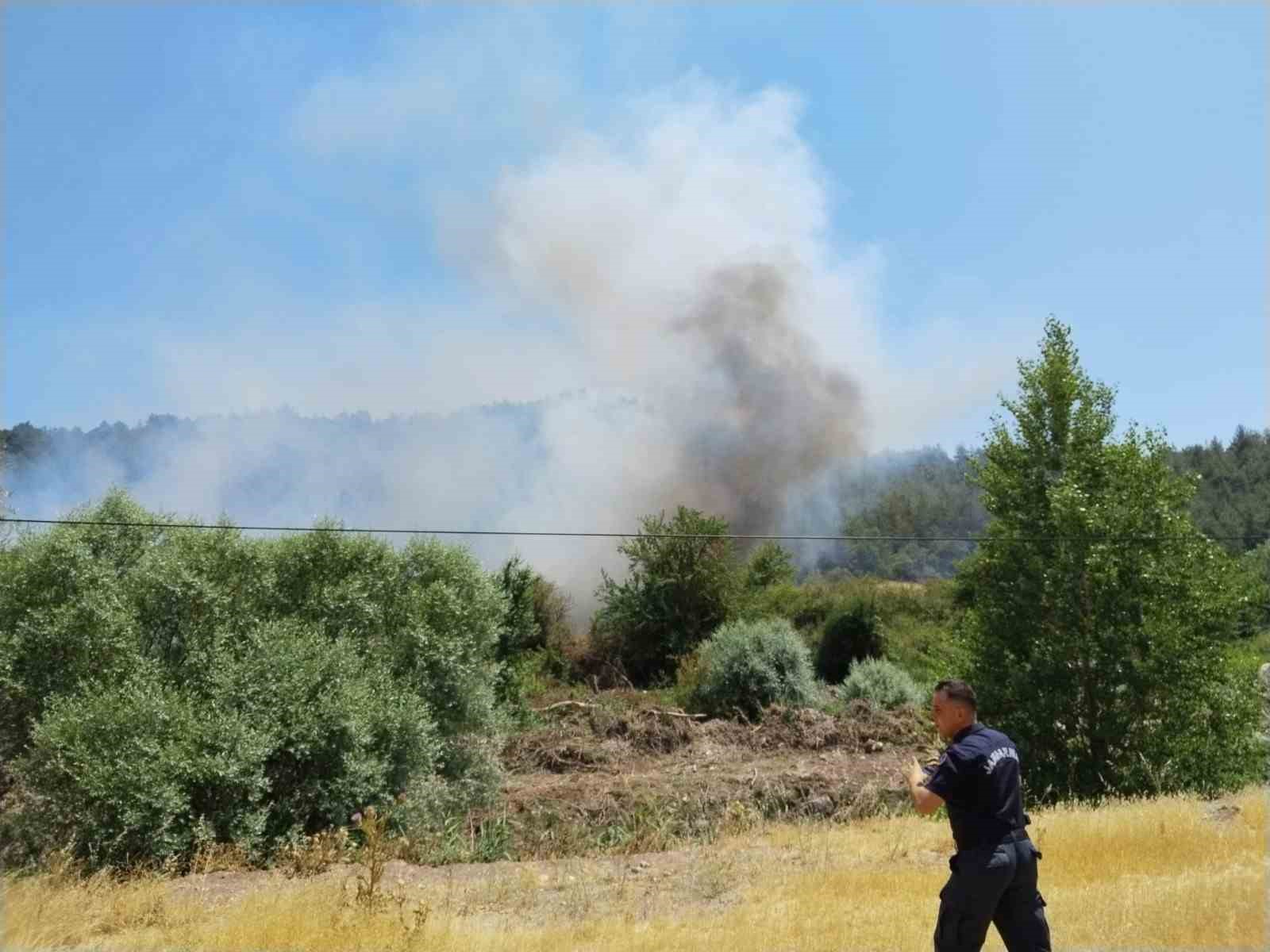 Bilecik&rsquo;te yeni orman yangını
