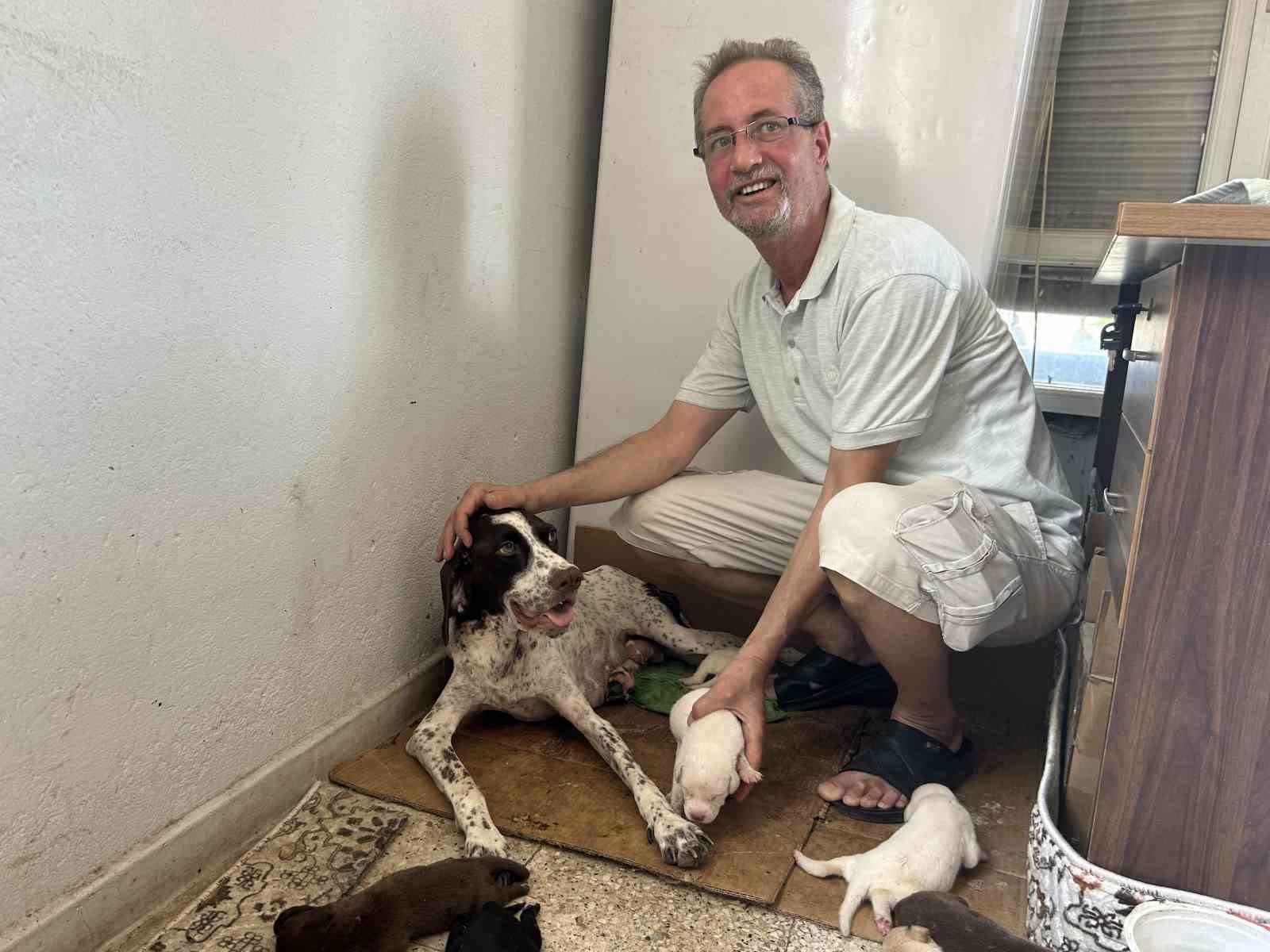 Tescilli ırk olan Çatalburun köpeği bir batında 13 yavru dünyaya getirdi