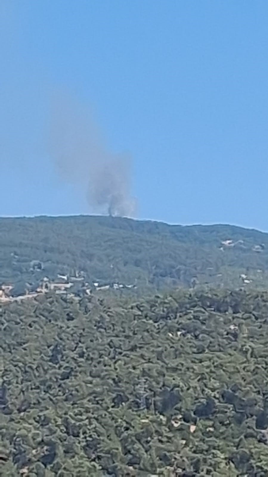 Çine’de orman yangını