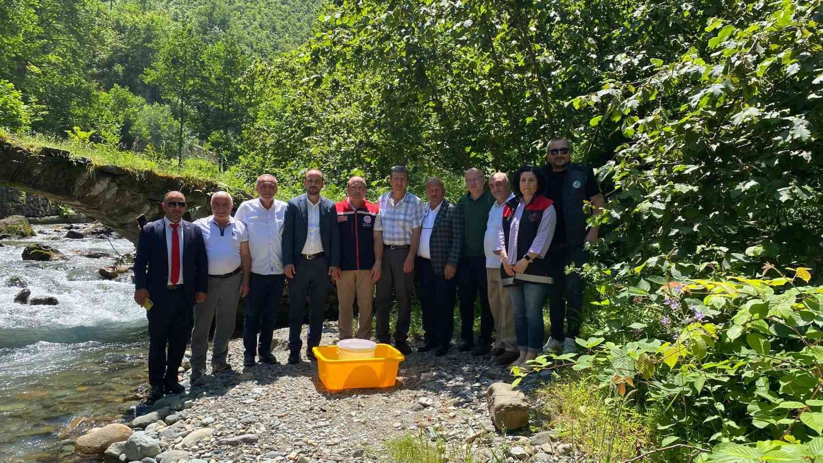 Trabzon&rsquo;da 15 bin alabalık yavrusu suyla buluşturuldu
