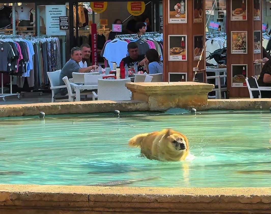 Çocuklar sıcak havada süs havuzunda serinledi