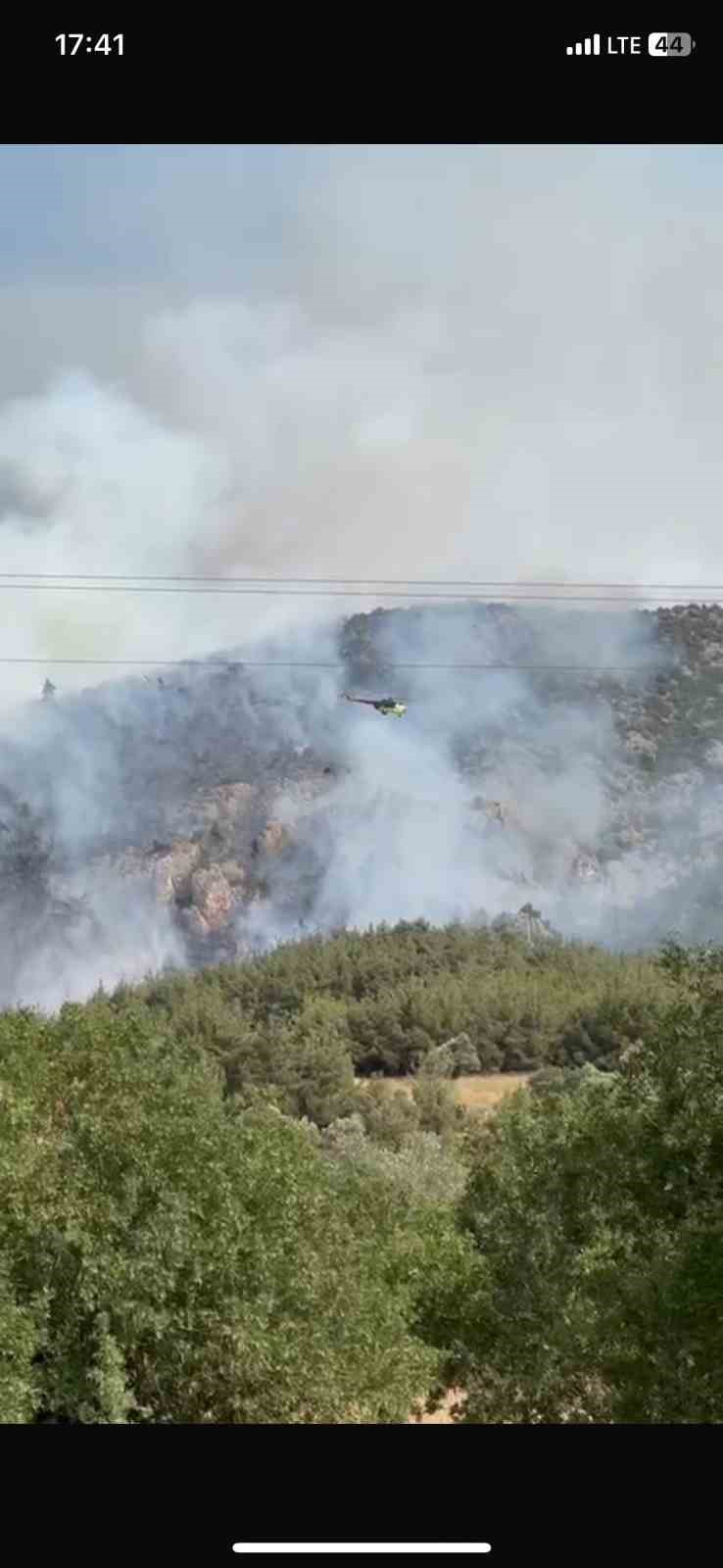 Bilecik’te bir başka orman yangını daha çıktı