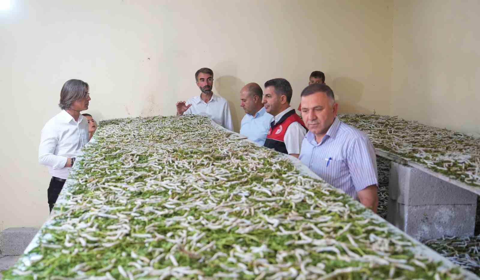 "Böcekle mi uğraşacaksın" sözlerine aldırmadı, binlerce lira kazandı