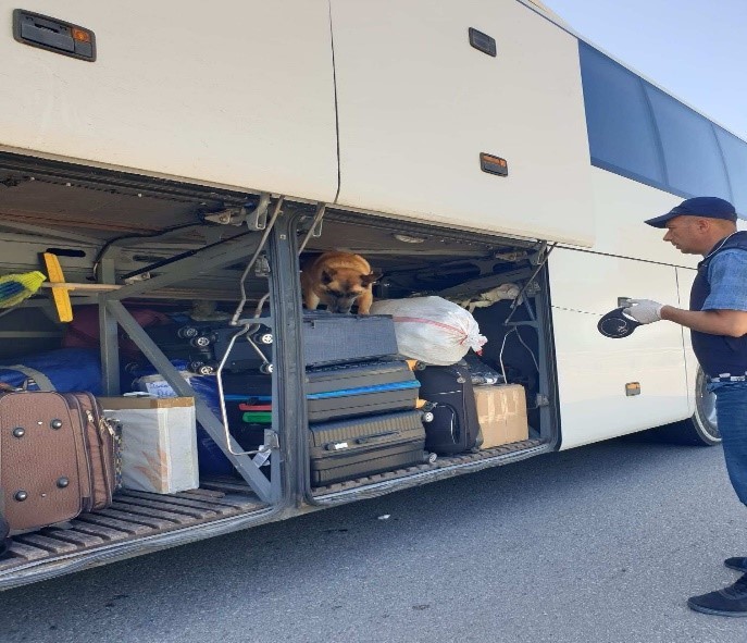 Sinop&rsquo;ta d&uuml;zensiz g&ouml;&ccedil;men denetimi
