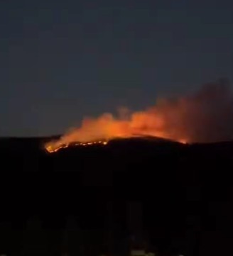 Çankırı’da orman yangını