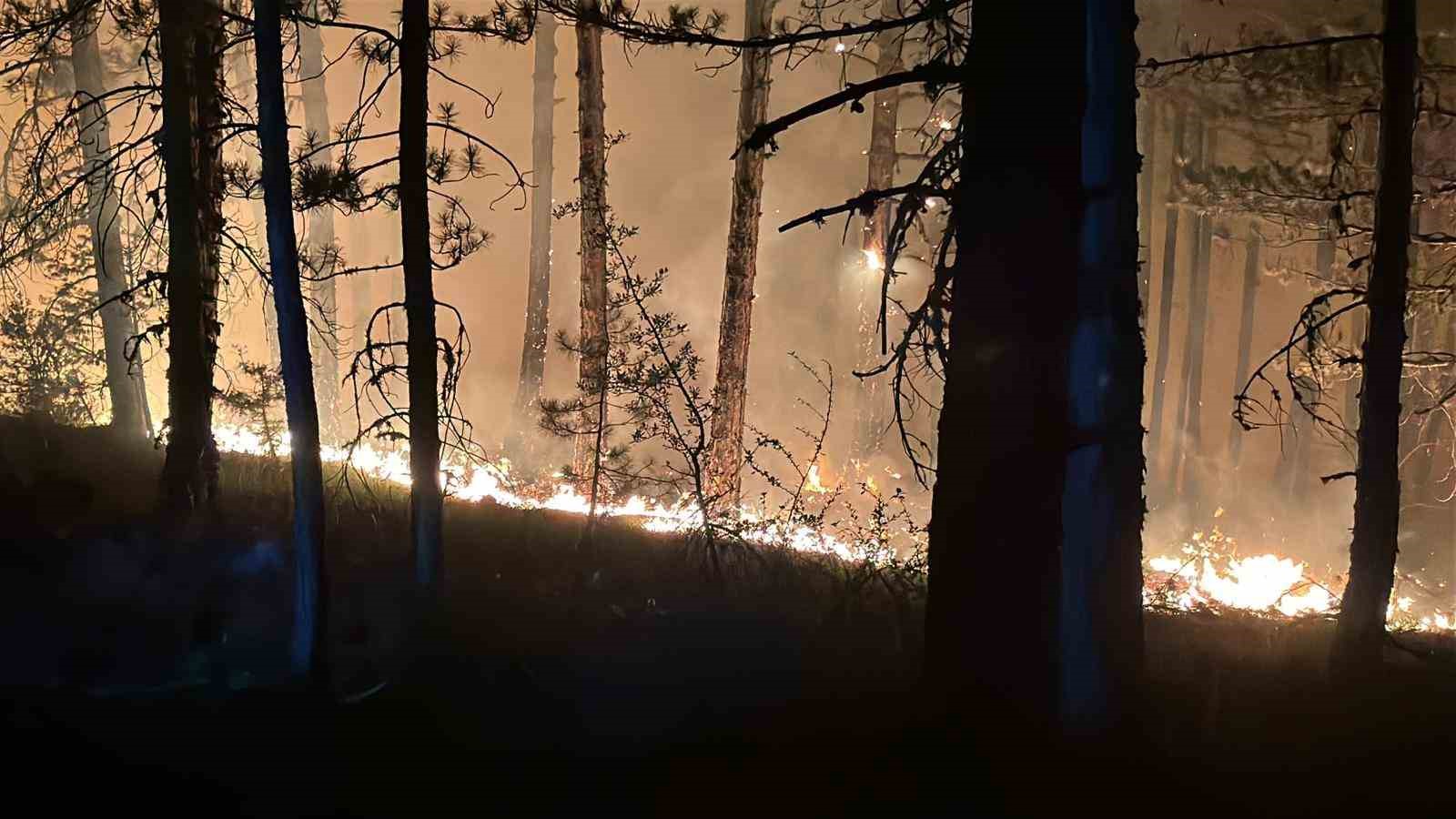 Çankırı’daki orman yangınına müdahale 4 saattir sürüyor