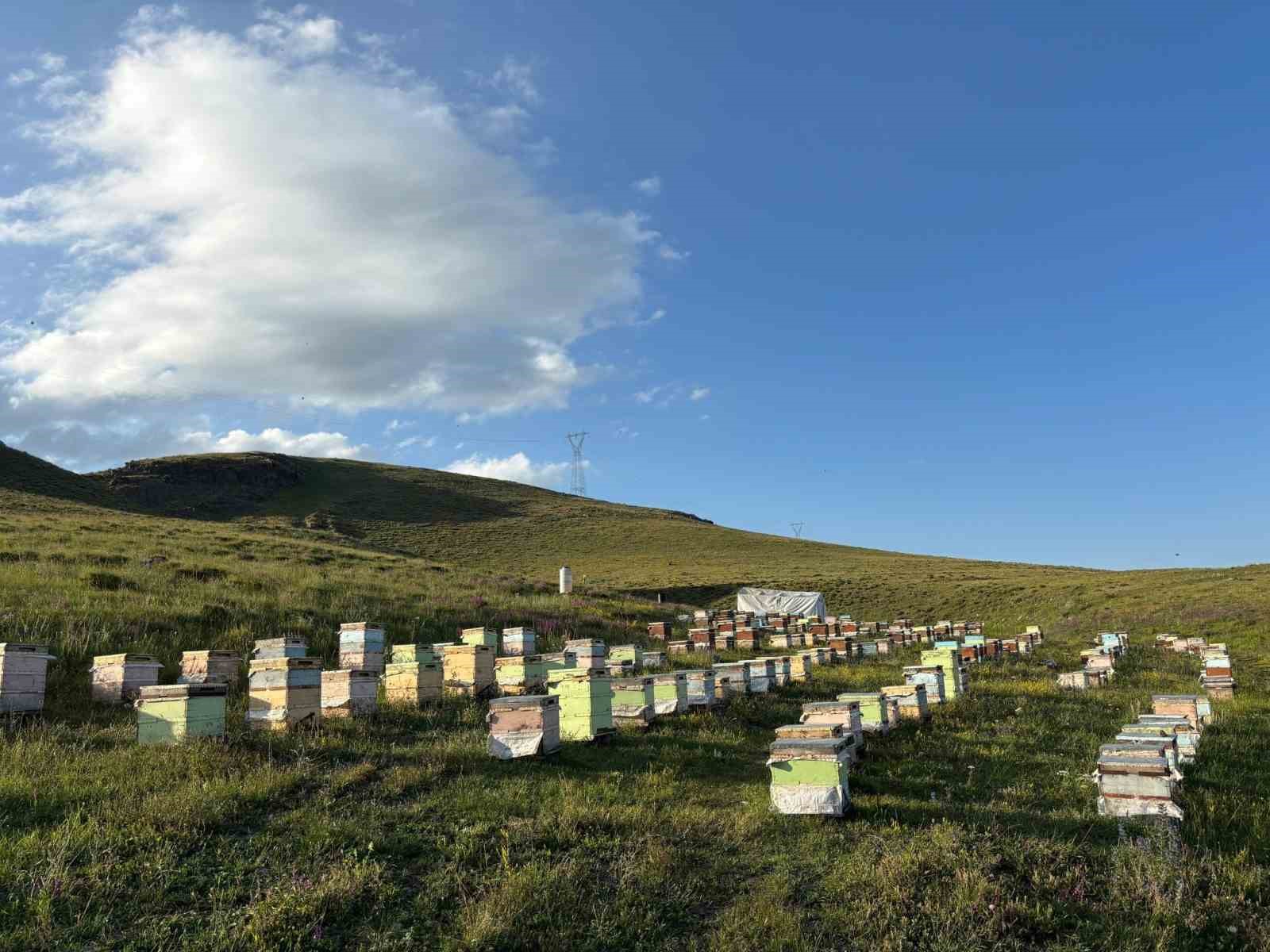 Kaymakam Tutal’dan arıcıya ziyaret