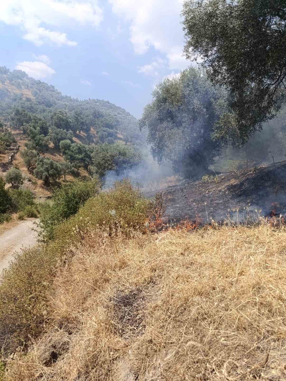 Köşk’teki zirai alan yangını büyümeden söndürüldü