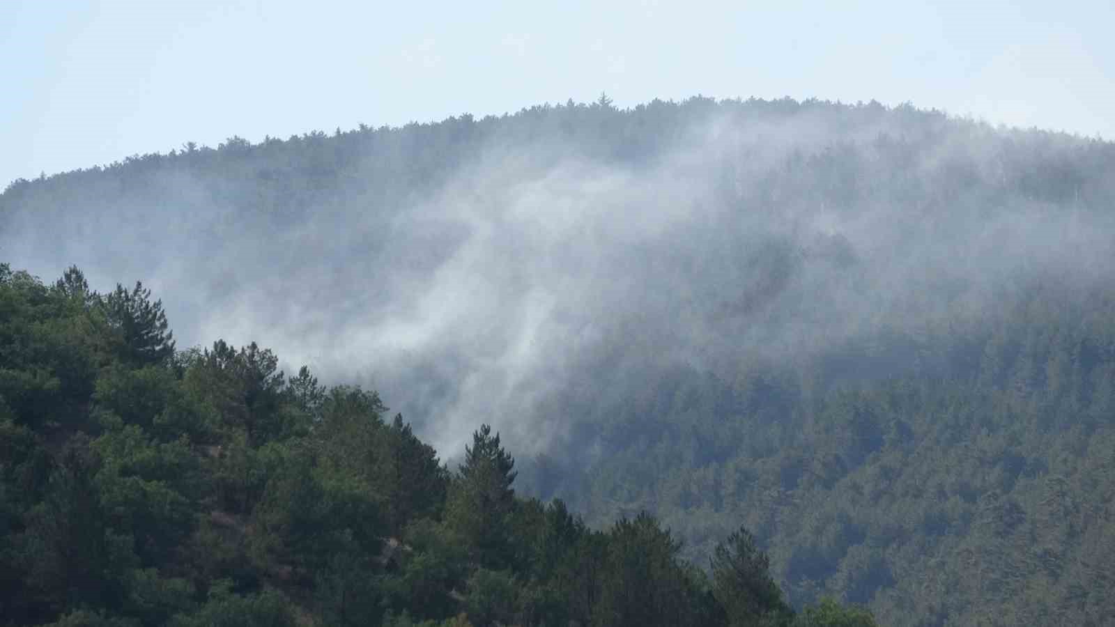 Çankırı’daki orman yangını kontrol altına alındı
