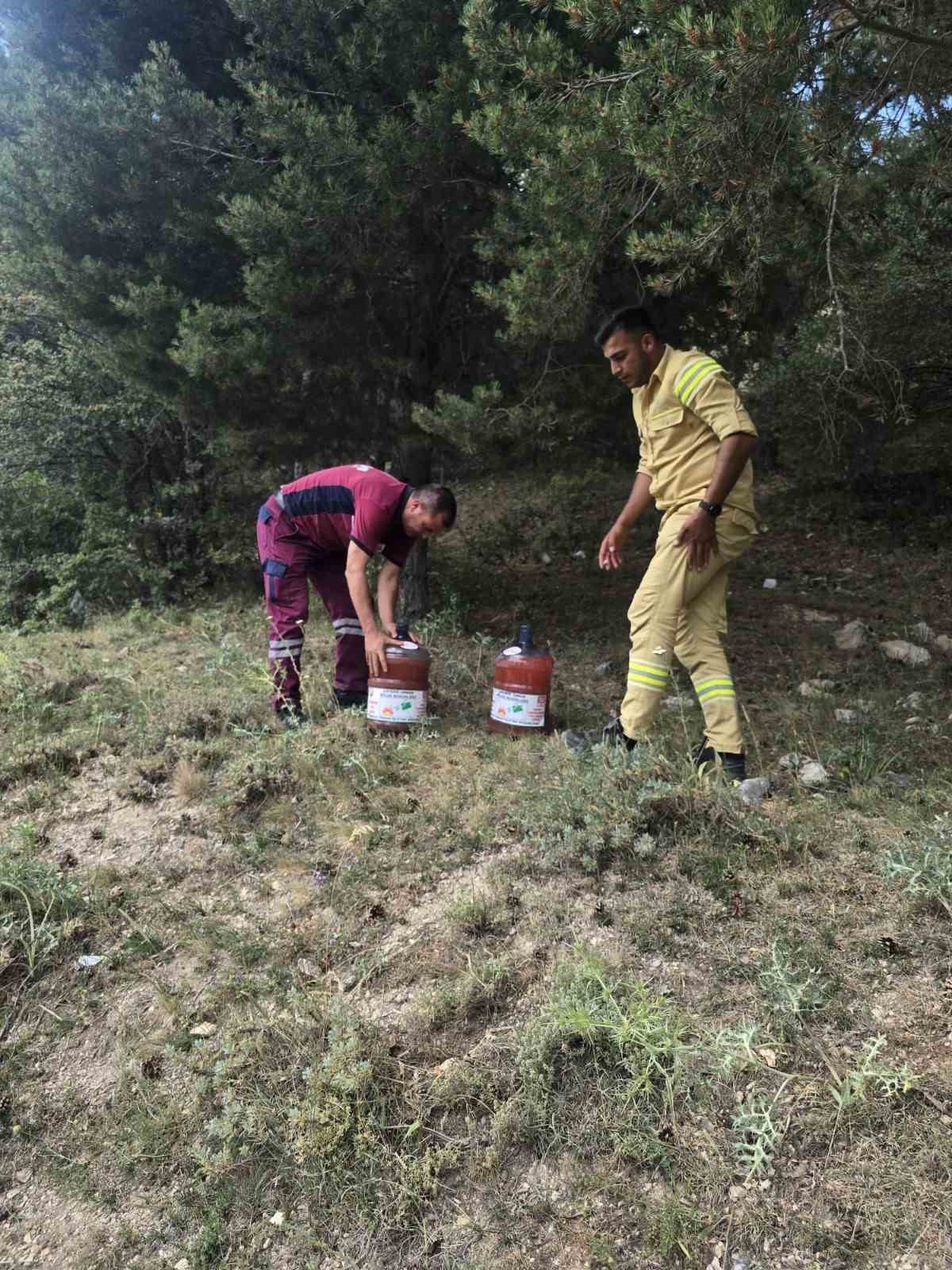 Çamlık Milli Parkı’na tedbir amaçlı su bırakıldı