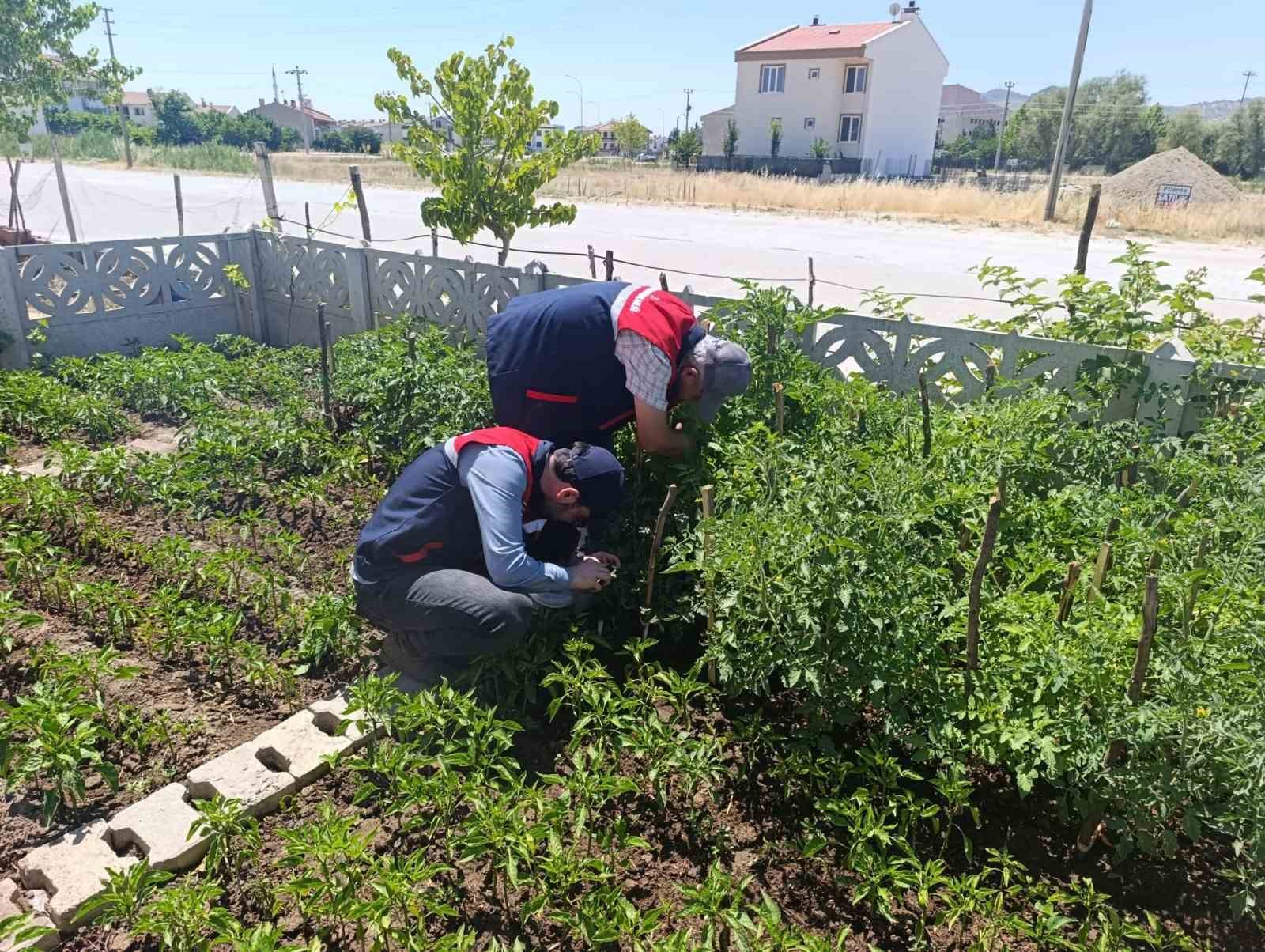 Küçük ölçekli üreticilere destek veriyor