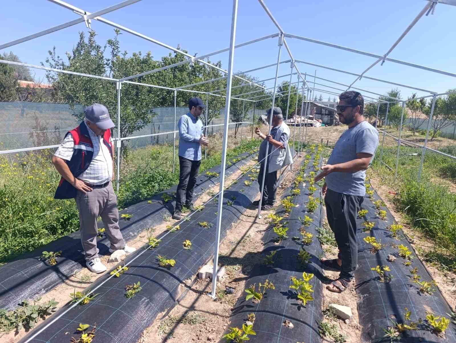 K&uuml;&ccedil;&uuml;k &ouml;l&ccedil;ekli &uuml;reticilere destek veriyor
