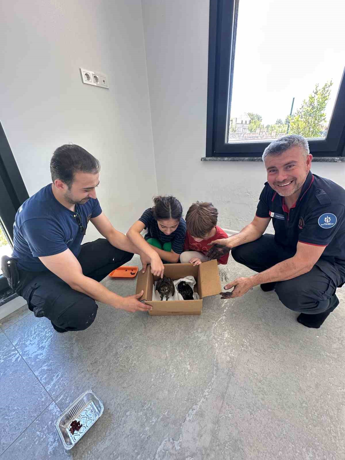 Bacadan kurtarılan baykuşlar Ormanya&rsquo;ya teslim edildi
