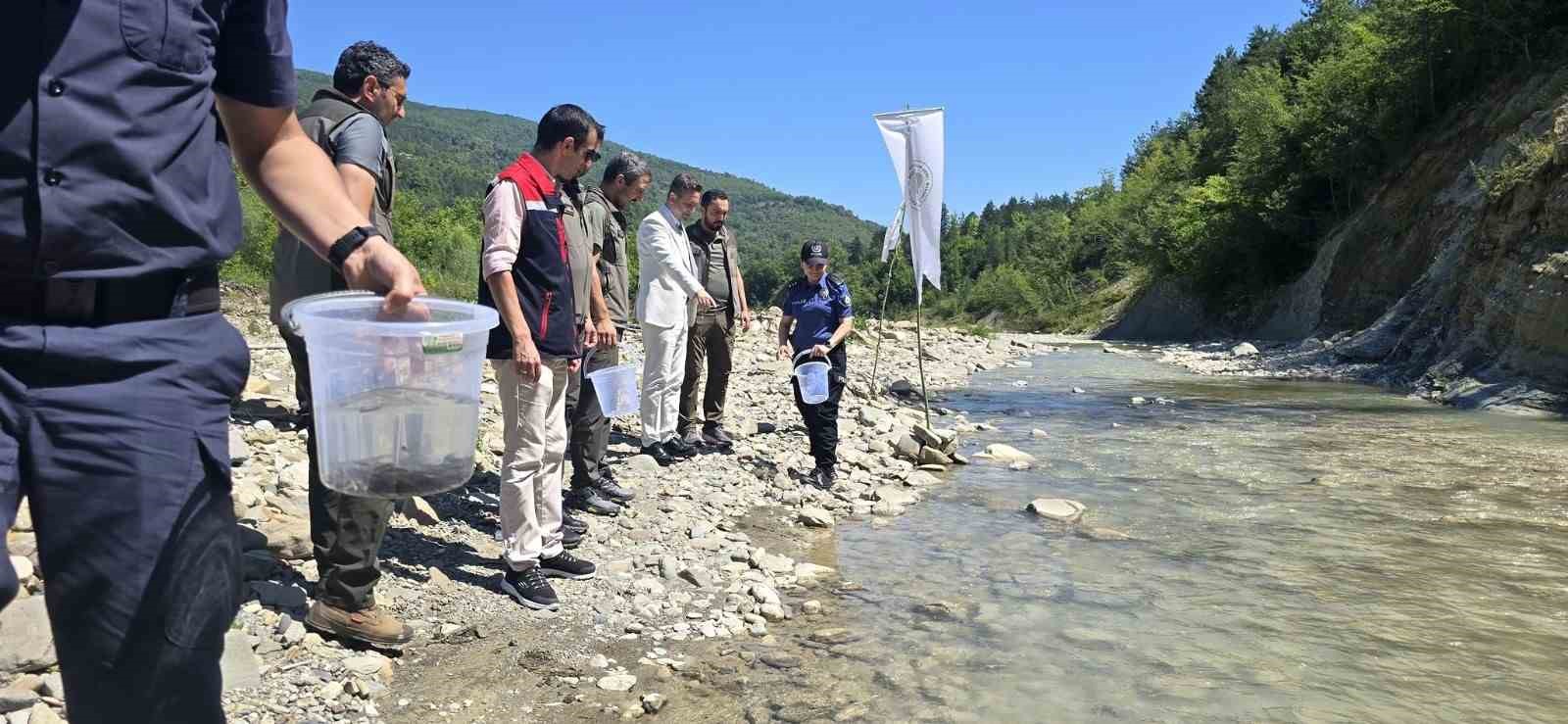 Sinop’ta derelere kırmızı benekli alabalık takviyesi