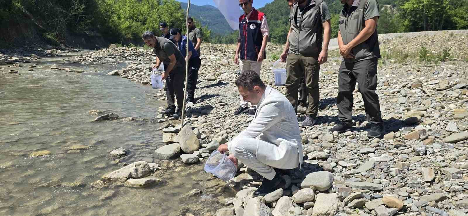 Sinop&rsquo;ta derelere kırmızı benekli alabalık takviyesi
