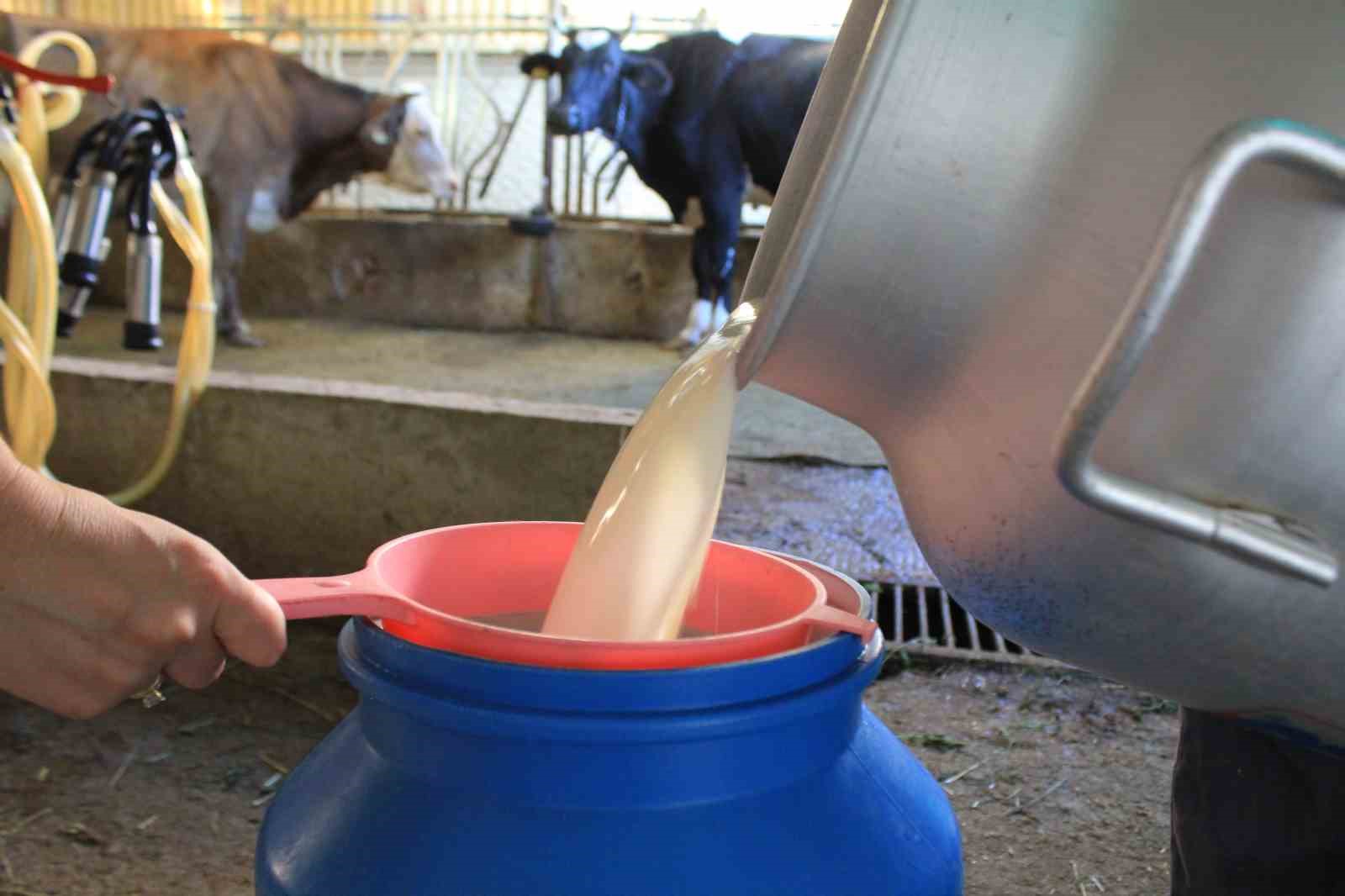 T&Uuml;SEDAD&rsquo;dan &ccedil;iğ s&uuml;tte maliyet konusunda iş birliği &ccedil;ağrısı
