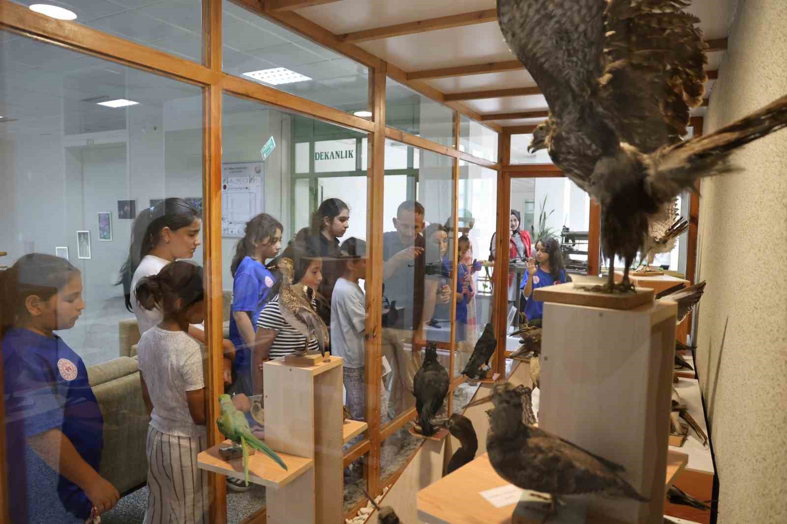 Botanik bahçesi öğrencilerin ilgisini çekti