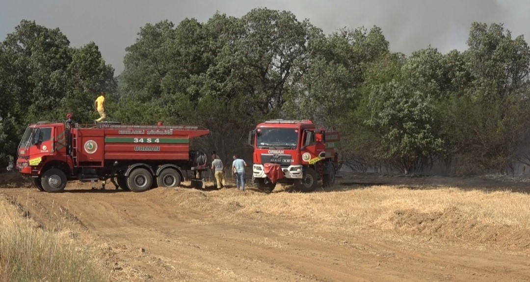 O ilin Valisi yangınlara karşı uyardı
