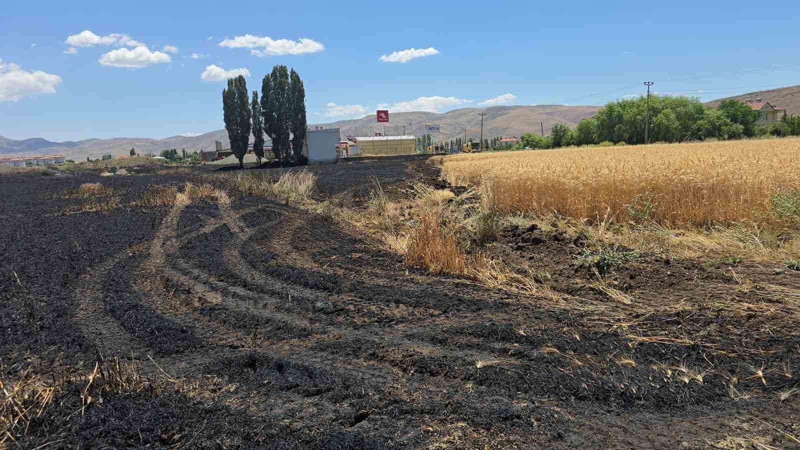 Elazığ’da 23 dönüm buğday, yanarak kül oldu
