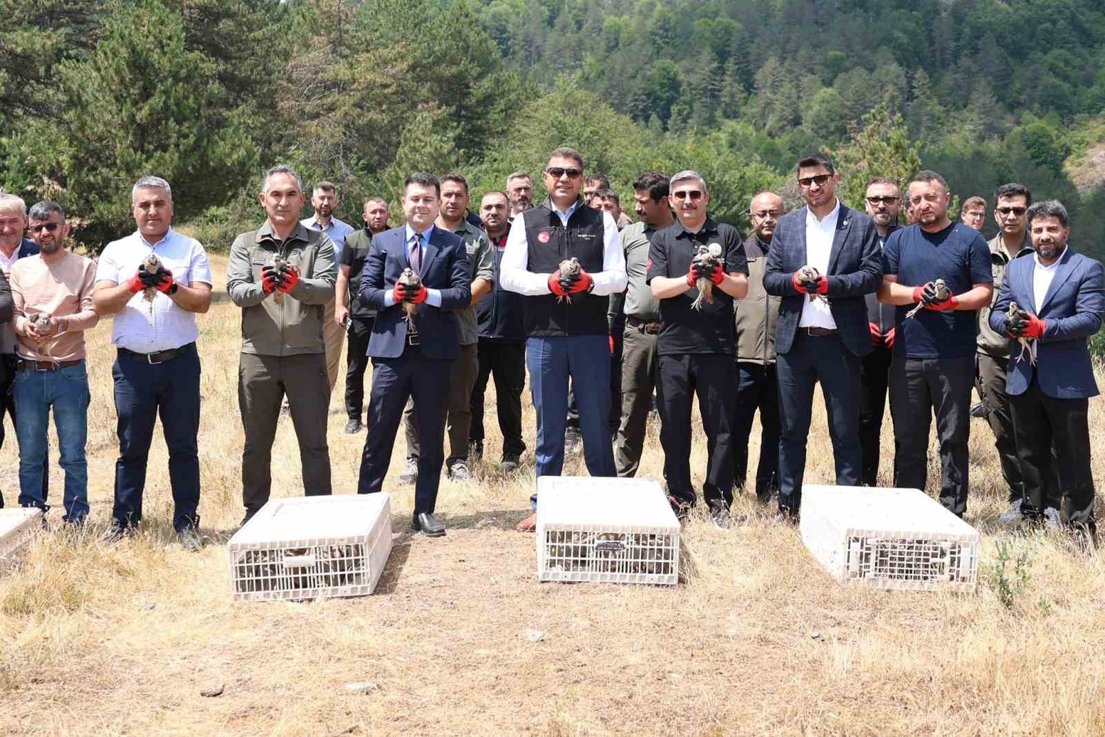 Yaylatepe’de 500 keklik doğaya salındı