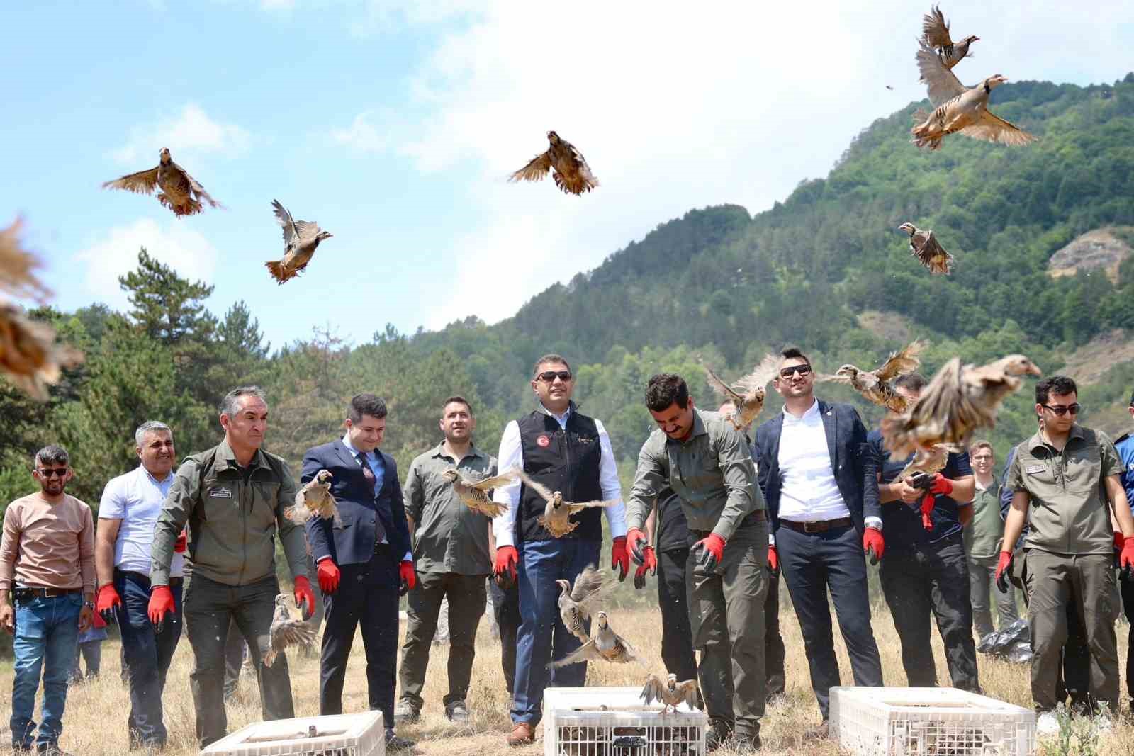 Yaylatepe’de 500 keklik doğaya salındı