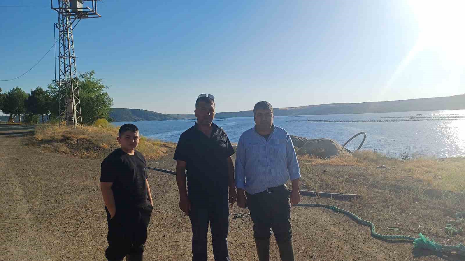 Sokak hayvanlarına balık ziyafeti
