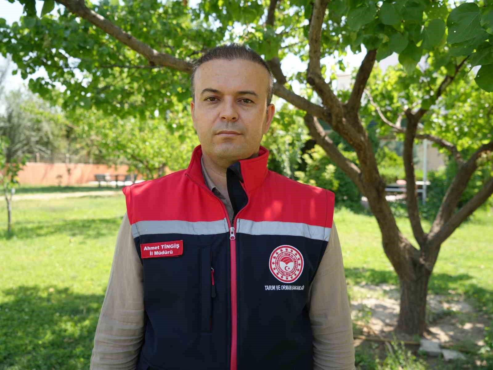 Iğdır’da kayısı hasadı tamamlandı; 40 bin ton rekolte elde edildi
