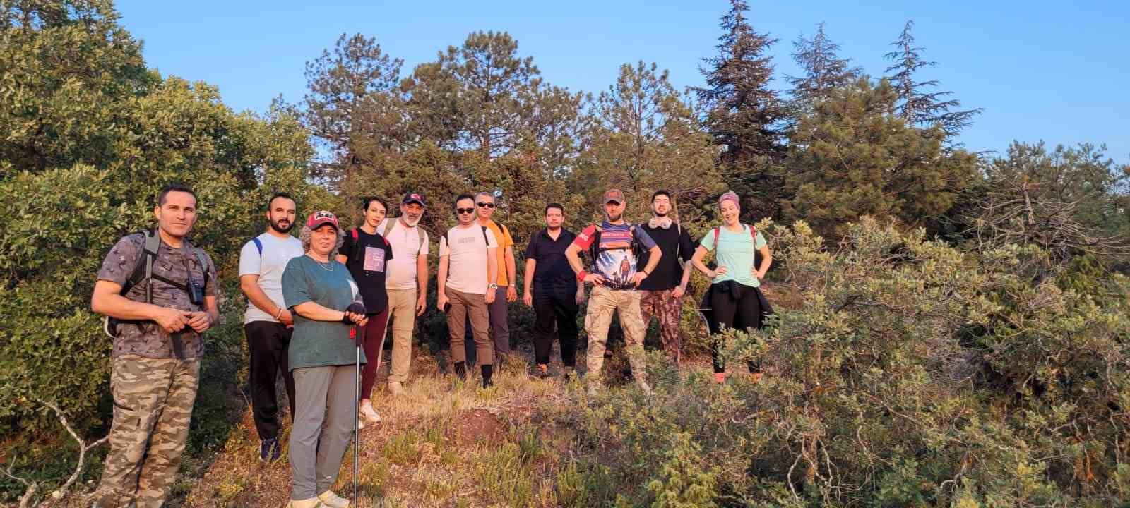 Kent ormanı yürüyüşünde sıra dışı karşılaşma