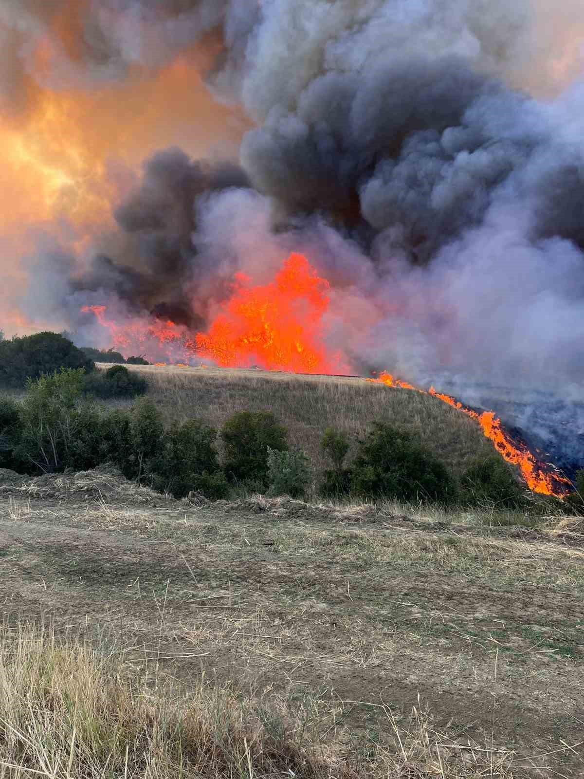 Tekirdağ’da orman yangını