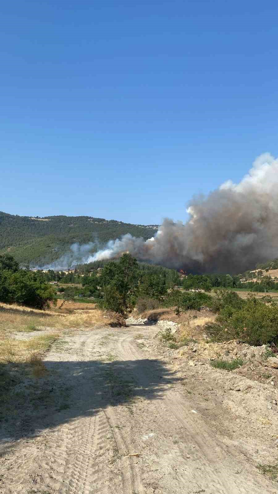 Bursa-Balıkesir sınırında orman yangını
