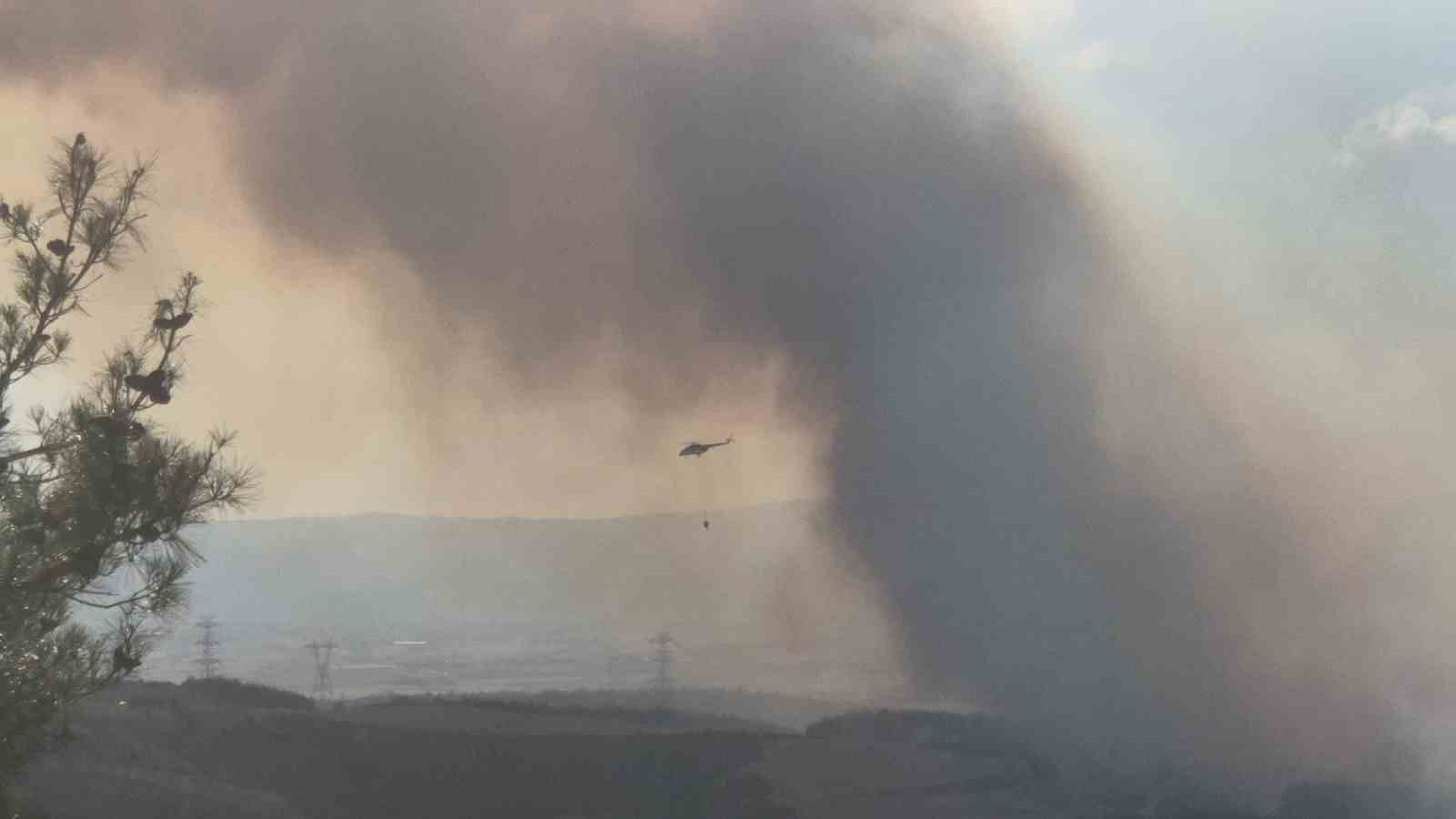 Tekirdağ&rsquo;da orman yangınına havadan ve karadan m&uuml;dahale s&uuml;r&uuml;yor
