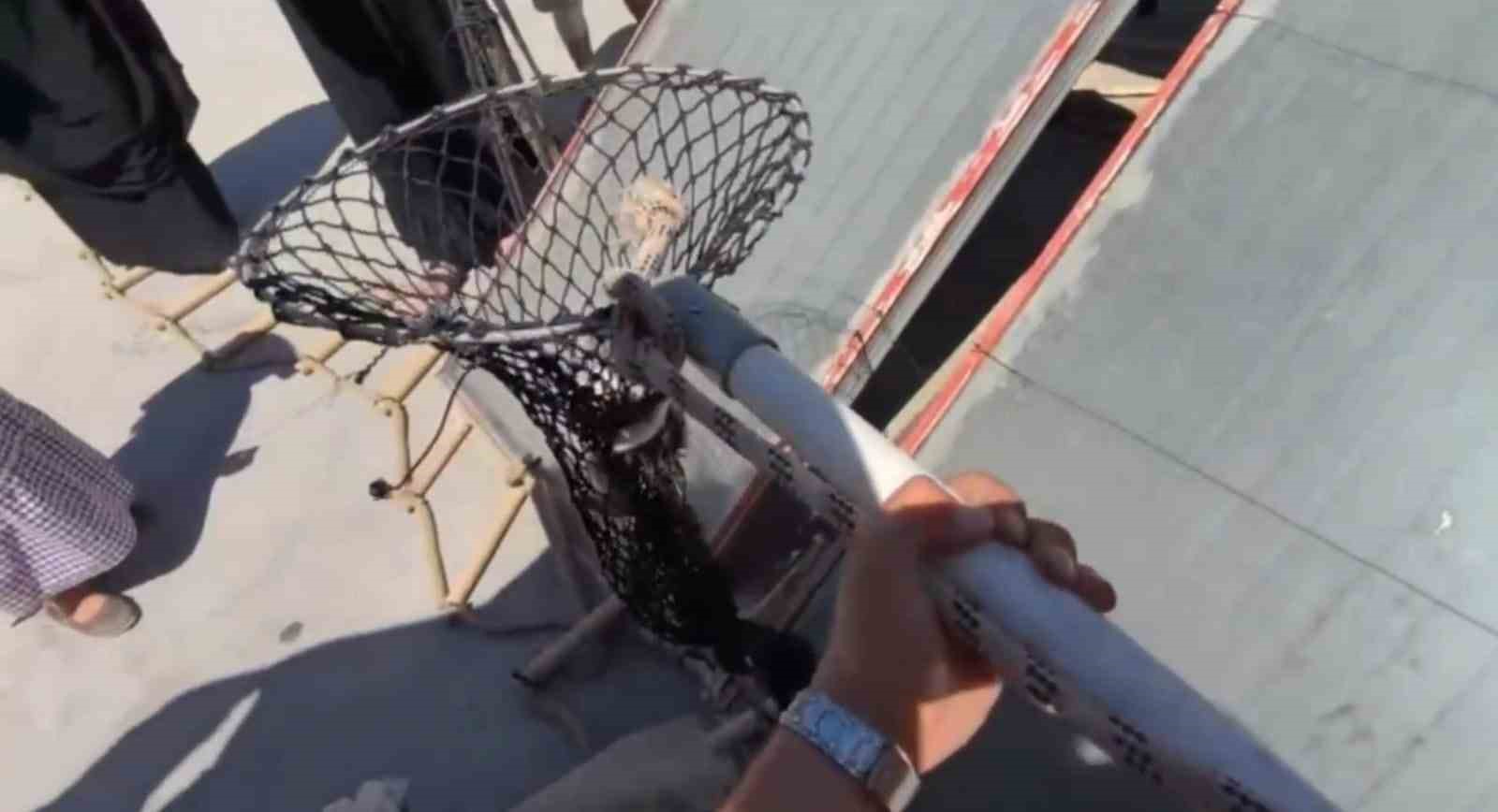 İtfaiyeden kedi kurtarma operasyonu
