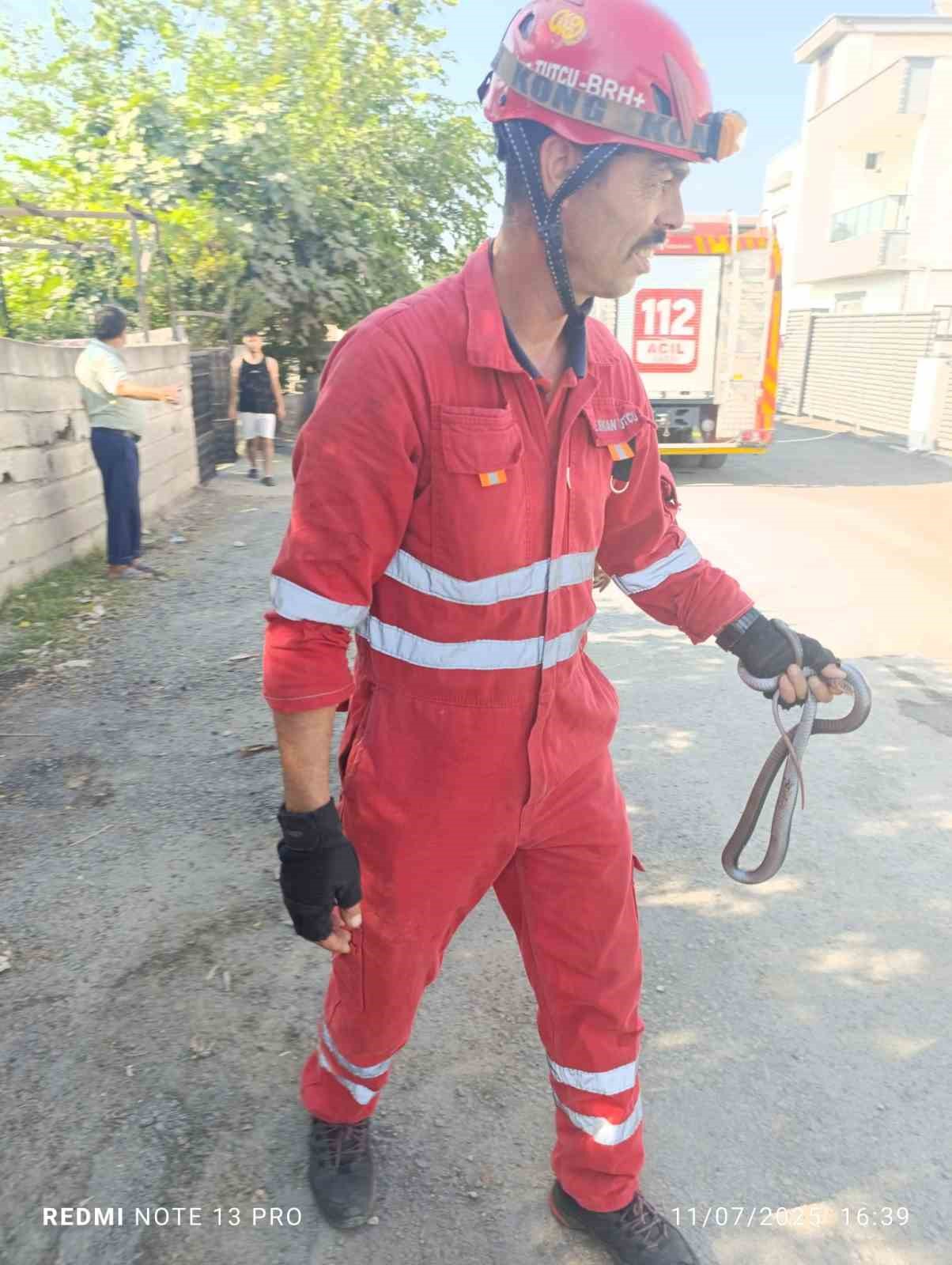 Evin bahçesine giren yılanı itfaiye yakaladı
