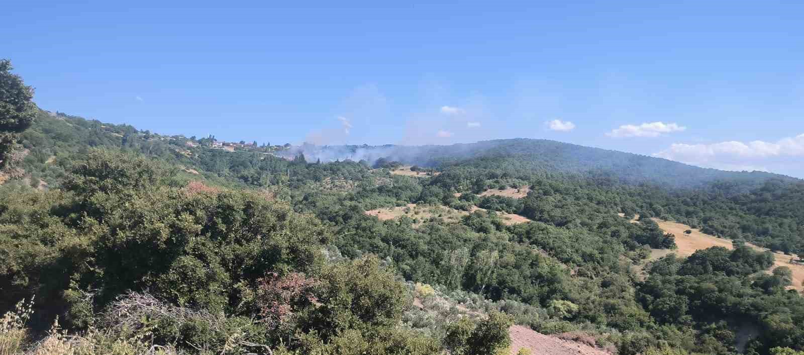 Lapseki&rsquo;de tarım arazisinde &ccedil;ıkan ormanlık alana sı&ccedil;rayan yangının sebebi sigara izmariti
