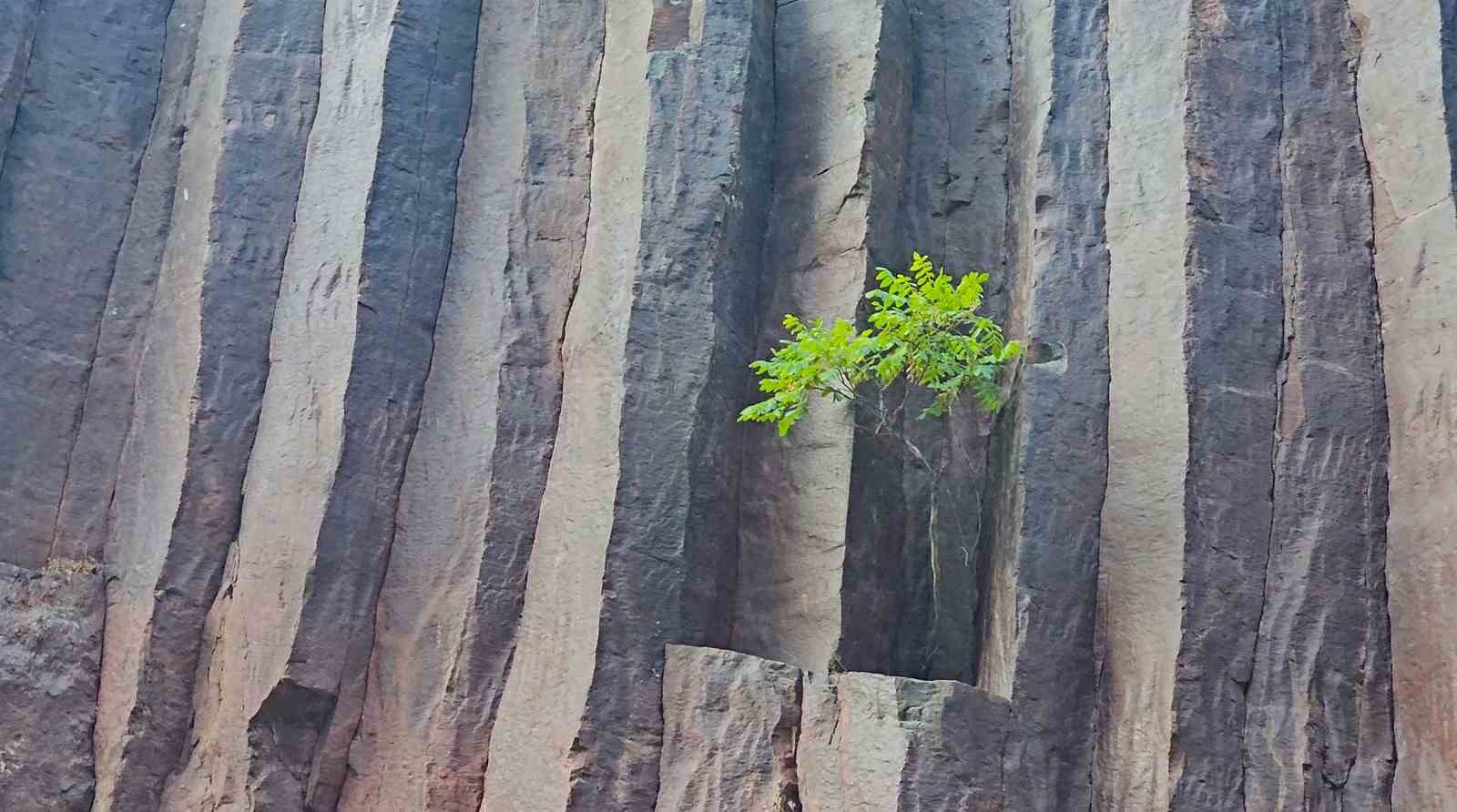 Artvin’deki bazalt kayalıkları ziyaretçi akınına uğruyor