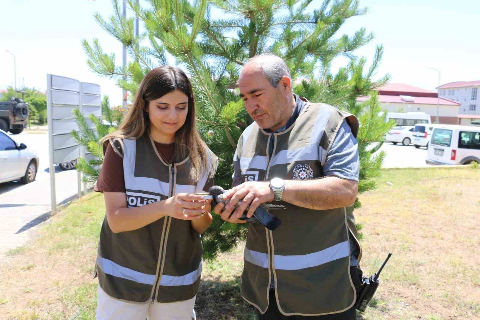 Yaralı g&uuml;vercine polis şefkati
