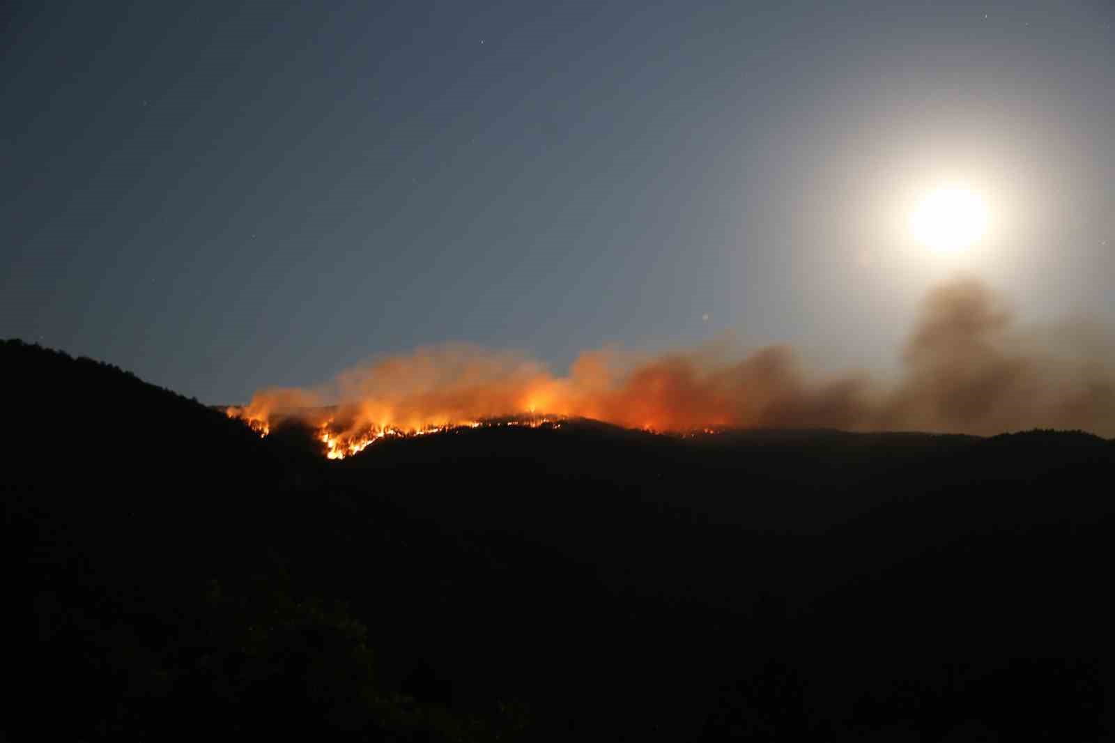 Çankırı’daki orman yangınında 40 hektar alan zarar gördü